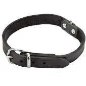 Beeztees Halsband Hond Leer