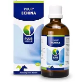 Puur Echina Paard/Pony