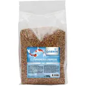 Darwin Vijvervoeding Premium