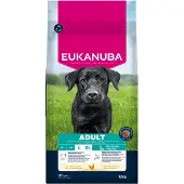 Eukanuba hondenvoer grote rassen kip - 12 kg
