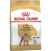 Royal Canin Poodle Adult