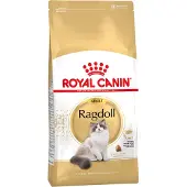 Royal Canin Ragdoll
