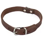 Beeztees Halsband Hond Leer