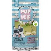 Pup Ice Hondenijs Lolly Appel