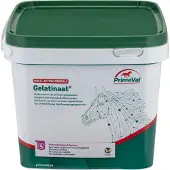 Primeval Gelatinaat Paard