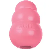 Kong Puppy