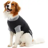 Buster Bodysuit EasyGo