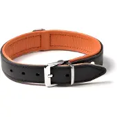 Karlie Rondo Riveted Hondenhalsband