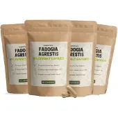 Cupplement - Fadogia Agrestis 500 mg - Capsules 240 St