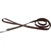 Beeztees - Hondenriem - Geniet - Bruin - 130x20 cm