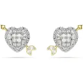 Swarovski Oorbellen goud / zilver / transparant