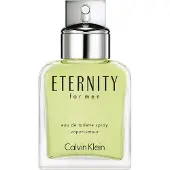 Calvin Klein Eternity For Men EDT 100 ml