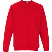Fruit Of The Loom Kinderen Unisex Raglan mouwen Sweatshirt (Rood)