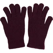 Regatta Volwassen unisex Connora-handschoenen (Afb.)