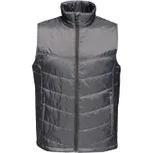 Regatta Heren Fase II Geïsoleerde Bodywarmer (Afdichting Grijs)