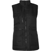 Regatta Heren Steller Thermo-Guard Bodywarmer / Gilet (Zwart)