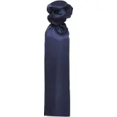 Premier Sjaal - Dames/vrouwen Gewone Zakelijke Sjaal (Marine)
