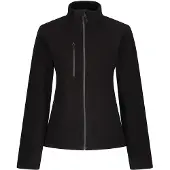 Regatta Dames/Dames Eerlijk Gemaakt Gerecycleerd Fleece (Zwart)