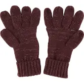 Regatta Dames/dames Winterhandschoenen (Paars)