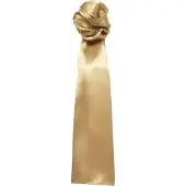 Premier Sjaal - Dames/vrouwen Gewone Zakelijke Sjaal (Goud)