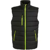 Regatta Thermische bodywarmer Navigate voor heren (Zwart/Lijkgroen)