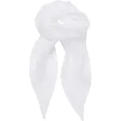 Premier Dames/vrouwenwerk Chiffon Formele Sjaal (Wit)
