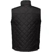 Regatta Heren Tyler Bodywarmer (Zwart)