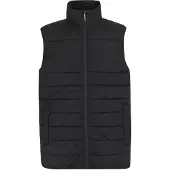 Regatta Professional Thermische bodywarmer voor heren (Zwart)