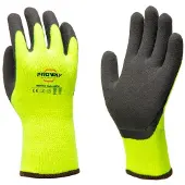 Proway Protection Winter PWH-6805