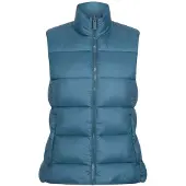 Regatta Dames/Dames Yewbank omkeerbare bodywarmer (Spiegelend meer)