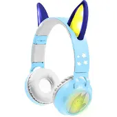 Bluey 3D Bluey design Bluetooth en Bedrade Opvouwbare Koptelefoon met veilige volumebeperking