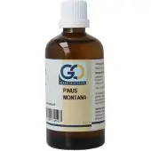 Go Pinus montana bio