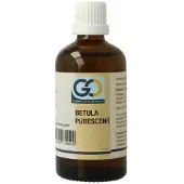Go Betula pubescens bio