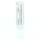 Homeoden Heel Echinacea purpurea D12