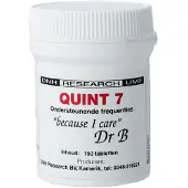 Dnh Quint 7