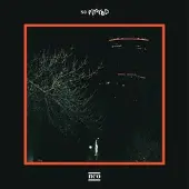 Konkurrent So Pitted - Neo (LP) (Loser Edition) (Coloured Vinyl)