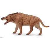 Collecta Andrewsarchus Deluxe 1:20 Figure Bruin 3-6 Years