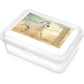 Orion - Lunchbox - Transparant - Paard - 750 ml