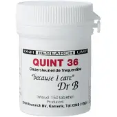 Dnh Quint 36