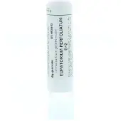 Homeoden Heel Eupatorium perfoliatum d12