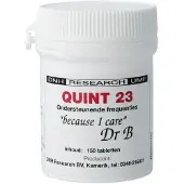 Dnh Quint 23