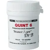 Dnh Quint 6