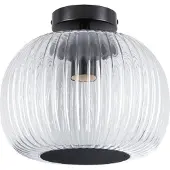 Paulmann 71146 Ruya Plafondlamp E27 Glas, Zwart (mat)