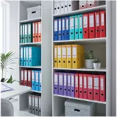 Esselte No.1 Power A4 50mm Ringbanden Rood (2 stuks)
