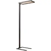 Arcchio Vloerlamp Nelus, dimbaar, zwart, Werkkamer / Kantoor, metaal, Modern