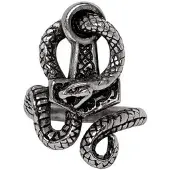 Alchemy Gothic - Gothic Ring - Bane Of Thor - zilverkleurig - Maat L-XL