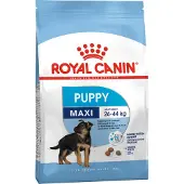 Royal Canin Maxi Junior 4kg
