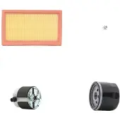 RIDEX 4055F10790 Filterset