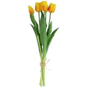Countryfield Tulipa Boeket - Tulpen - Geel/Oranje - 40 cm