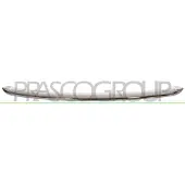 PRASCO MN3102205 Sier- / Beschermingspaneel, radiateurgrille